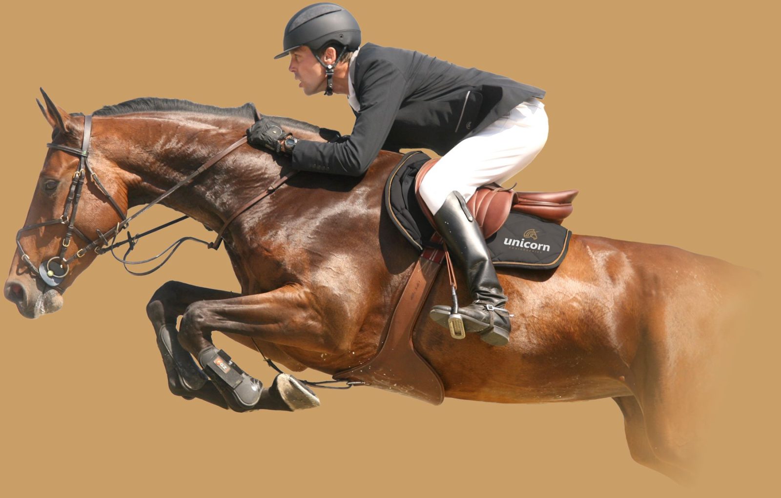 Home - Equigraphics