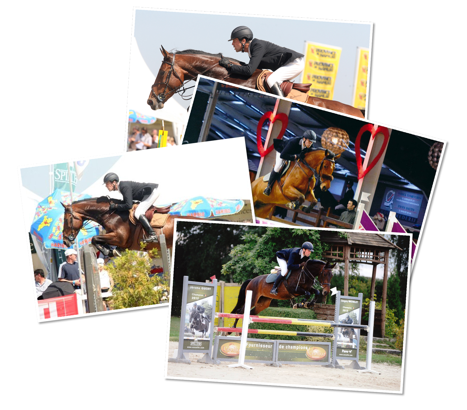 Over ons - Unicorn Equigraphics