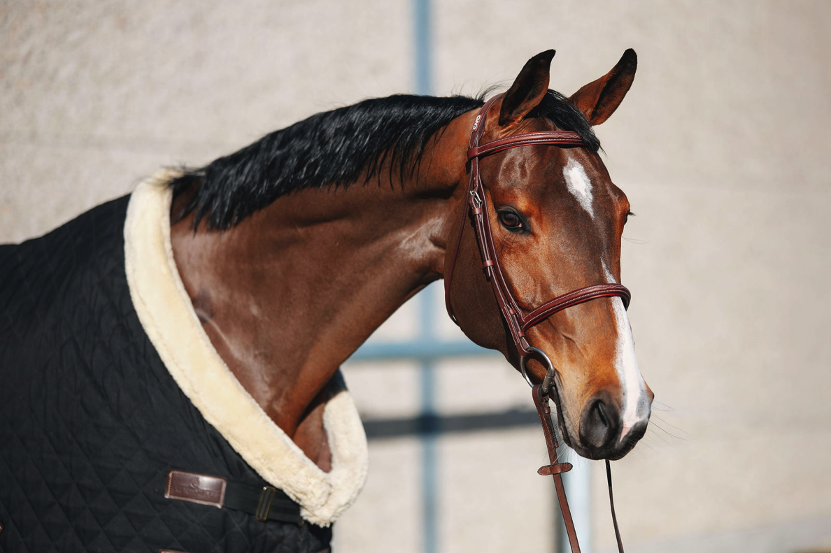 Fotografie - Unicorn Equigraphics